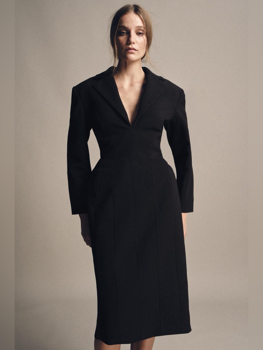 ZARA Coat Dress, ZW Collection. Minimalist, Quiet Luxury. S NWT